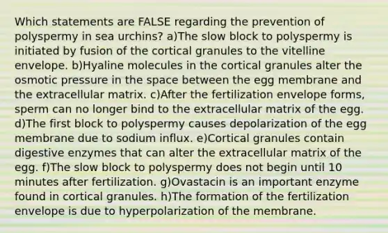 Which statements are FALSE regarding the prevention of polyspermy in sea urchins? a)The slow block to polyspermy is initiated by fusion of the cortical granules to the vitelline envelope. b)Hyaline molecules in the cortical granules alter the osmotic pressure in the space between the egg membrane and the extracellular matrix. c)After the fertilization envelope forms, sperm can no longer bind to the extracellular matrix of the egg. d)The first block to polyspermy causes depolarization of the egg membrane due to sodium influx. e)Cortical granules contain digestive enzymes that can alter the extracellular matrix of the egg. f)The slow block to polyspermy does not begin until 10 minutes after fertilization. g)Ovastacin is an important enzyme found in cortical granules. h)The formation of the fertilization envelope is due to hyperpolarization of the membrane.