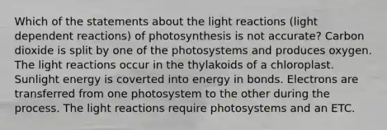 Which of the statements about the <a href='https://www.questionai.com/knowledge/kSUoWrrvoC-light-reactions' class='anchor-knowledge'>light reactions</a> (light dependent reactions) of photosynthesis is not accurate? Carbon dioxide is split by one of the photosystems and produces oxygen. The light reactions occur in the thylakoids of a chloroplast. Sunlight energy is coverted into energy in bonds. Electrons are transferred from one photosystem to the other during the process. The light reactions require photosystems and an ETC.