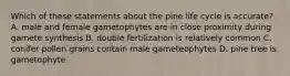 Which of these statements about the pine life cycle is accurate? A. male and female gametophytes are in close proximity during gamete synthesis B. double fertilization is relatively common C. conifer pollen grains contain male gameteophytes D. pine tree is gametophyte