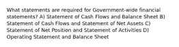 What statements are required for Government-wide financial statements? A) Statement of Cash Flows and Balance Sheet B) Statement of Cash Flows and Statement of Net Assets C) Statement of Net Position and Statement of Activities D) Operating Statement and Balance Sheet