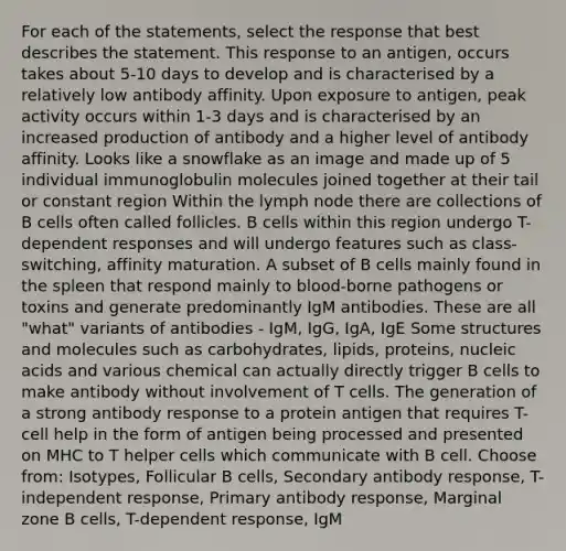 For each of the statements, select the response that best describes the statement. This response to an antigen, occurs takes about 5-10 days to develop and is characterised by a relatively low antibody affinity. Upon exposure to antigen, peak activity occurs within 1-3 days and is characterised by an increased production of antibody and a higher level of antibody affinity. Looks like a snowflake as an image and made up of 5 individual immunoglobulin molecules joined together at their tail or constant region Within the lymph node there are collections of B cells often called follicles. B cells within this region undergo T-dependent responses and will undergo features such as class-switching, affinity maturation. A subset of B cells mainly found in the spleen that respond mainly to blood-borne pathogens or toxins and generate predominantly IgM antibodies. These are all "what" variants of antibodies - IgM, IgG, IgA, IgE Some structures and molecules such as carbohydrates, lipids, proteins, nucleic acids and various chemical can actually directly trigger B cells to make antibody without involvement of T cells. The generation of a strong antibody response to a protein antigen that requires T-cell help in the form of antigen being processed and presented on MHC to T helper cells which communicate with B cell. Choose from: Isotypes, Follicular B cells, Secondary antibody response, T-independent response, Primary antibody response, Marginal zone B cells, T-dependent response, IgM