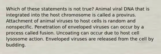 Which of these statements is not true? Animal viral DNA that is integrated into the host chromosome is called a provirus. Attachment of animal viruses to host cells is random and nonspecific. Penetration of enveloped viruses can occur by a process called fusion. Uncoating can occur due to host cell lysosome action. Enveloped viruses are released from the cell by budding.