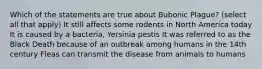 Which of the statements are true about Bubonic Plague? (select all that apply) It still affects some rodents in North America today It is caused by a bacteria, Yersinia pestis It was referred to as the Black Death because of an outbreak among humans in the 14th century Fleas can transmit the disease from animals to humans