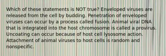 Which of these statements is NOT true? Enveloped viruses are released from the cell by budding. Penetration of enveloped viruses can occur by a process called fusion. Animal viral DNA that is integrated into the host chromosome is called a provirus. Uncoating can occur because of host cell lysosome action. Attachment of animal viruses to host cells is random and nonspecific.