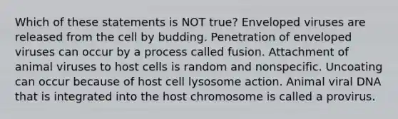 Which of these statements is NOT true? Enveloped viruses are released from the cell by budding. Penetration of enveloped viruses can occur by a process called fusion. Attachment of animal viruses to host cells is random and nonspecific. Uncoating can occur because of host cell lysosome action. Animal viral DNA that is integrated into the host chromosome is called a provirus.