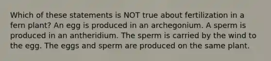 Which of these statements is NOT true about fertilization in a fern plant? An egg is produced in an archegonium. A sperm is produced in an antheridium. The sperm is carried by the wind to the egg. The eggs and sperm are produced on the same plant.