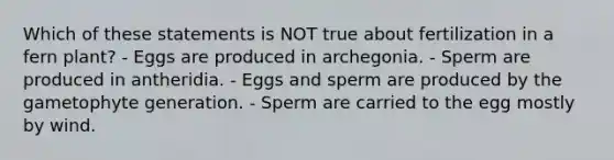 Which of these statements is NOT true about fertilization in a fern plant? - Eggs are produced in archegonia. - Sperm are produced in antheridia. - Eggs and sperm are produced by the gametophyte generation. - Sperm are carried to the egg mostly by wind.