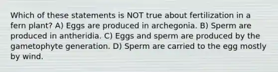 Which of these statements is NOT true about fertilization in a fern plant? A) Eggs are produced in archegonia. B) Sperm are produced in antheridia. C) Eggs and sperm are produced by the gametophyte generation. D) Sperm are carried to the egg mostly by wind.