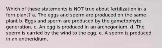 Which of these statements is NOT true about fertilization in a fern plant? a. The eggs and sperm are produced on the same plant b. Eggs and sperm are produced by the gametophyte generation. c. An egg is produced in an archegonium. d. The sperm is carried by the wind to the egg. e. A sperm is produced in an antheridium.