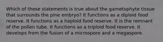 Which of these statements is true about the gametophyte tissue that surrounds the pine embryo? It functions as a diploid food reserve. It functions as a haploid food reserve. It is the remnant of the pollen tube. It functions as a triploid food reserve. It develops from the fusion of a microspore and a megaspore.