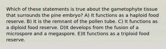 Which of these statements is true about the gametophyte tissue that surrounds the pine embryo? A) It functions as a haploid food reserve. B) It is the remnant of the pollen tube. C) It functions as a diploid food reserve. D)It develops from the fusion of a microspore and a megaspore. E)It functions as a triploid food reserve.