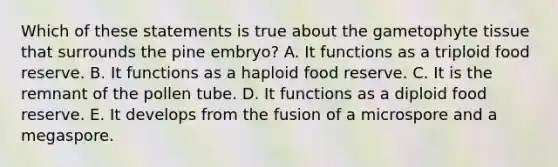 Which of these statements is true about the gametophyte tissue that surrounds the pine embryo? A. It functions as a triploid food reserve. B. It functions as a haploid food reserve. C. It is the remnant of the pollen tube. D. It functions as a diploid food reserve. E. It develops from the fusion of a microspore and a megaspore.