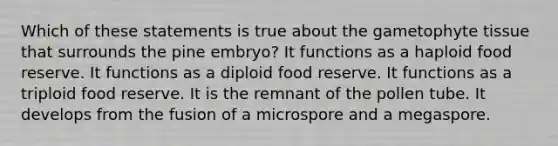 Which of these statements is true about the gametophyte tissue that surrounds the pine embryo? It functions as a haploid food reserve. It functions as a diploid food reserve. It functions as a triploid food reserve. It is the remnant of the pollen tube. It develops from the fusion of a microspore and a megaspore.