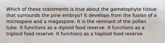 Which of these statements is true about the gametophyte tissue that surrounds the pine embryo? It develops from the fusion of a microspore and a megaspore. It is the remnant of the pollen tube. It functions as a diploid food reserve. It functions as a triploid food reserve. It functions as a haploid food reserve