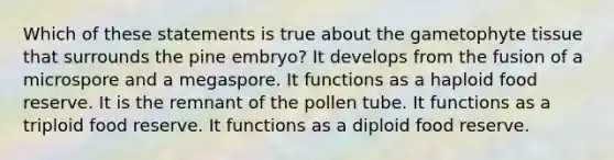 Which of these statements is true about the gametophyte tissue that surrounds the pine embryo? It develops from the fusion of a microspore and a megaspore. It functions as a haploid food reserve. It is the remnant of the pollen tube. It functions as a triploid food reserve. It functions as a diploid food reserve.