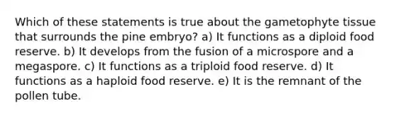 Which of these statements is true about the gametophyte tissue that surrounds the pine embryo? a) It functions as a diploid food reserve. b) It develops from the fusion of a microspore and a megaspore. c) It functions as a triploid food reserve. d) It functions as a haploid food reserve. e) It is the remnant of the pollen tube.