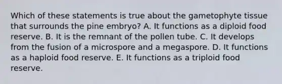 Which of these statements is true about the gametophyte tissue that surrounds the pine embryo? A. It functions as a diploid food reserve. B. It is the remnant of the pollen tube. C. It develops from the fusion of a microspore and a megaspore. D. It functions as a haploid food reserve. E. It functions as a triploid food reserve.