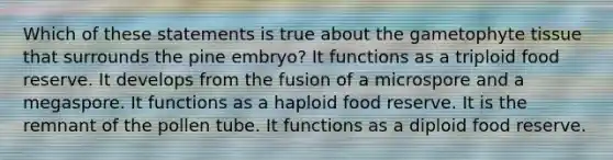 Which of these statements is true about the gametophyte tissue that surrounds the pine embryo? It functions as a triploid food reserve. It develops from the fusion of a microspore and a megaspore. It functions as a haploid food reserve. It is the remnant of the pollen tube. It functions as a diploid food reserve.