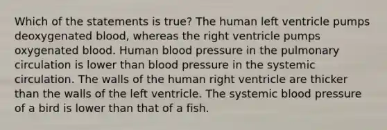 Which of the statements is true? The human left ventricle pumps deoxygenated blood, whereas the right ventricle pumps oxygenated blood. Human blood pressure in the pulmonary circulation is lower than blood pressure in the systemic circulation. The walls of the human right ventricle are thicker than the walls of the left ventricle. The systemic blood pressure of a bird is lower than that of a fish.