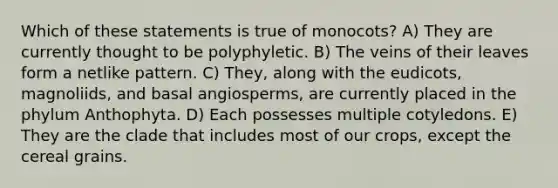 Which of these statements is true of monocots? A) They are currently thought to be polyphyletic. B) The veins of their leaves form a netlike pattern. C) They, along with the eudicots, magnoliids, and basal angiosperms, are currently placed in the phylum Anthophyta. D) Each possesses multiple cotyledons. E) They are the clade that includes most of our crops, except the cereal grains.