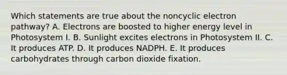 Which statements are true about the noncyclic electron pathway? A. Electrons are boosted to higher energy level in Photosystem I. B. Sunlight excites electrons in Photosystem II. C. It produces ATP. D. It produces NADPH. E. It produces carbohydrates through carbon dioxide fixation.