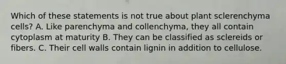 Which of these statements is not true about plant sclerenchyma cells? A. Like parenchyma and collenchyma, they all contain cytoplasm at maturity B. They can be classified as sclereids or fibers. C. Their cell walls contain lignin in addition to cellulose.