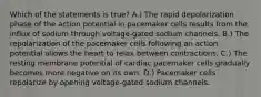 Which of the statements is true? A.) The rapid depolarization phase of the action potential in pacemaker cells results from the influx of sodium through voltage-gated sodium channels. B.) The repolarization of the pacemaker cells following an action potential allows the heart to relax between contractions. C.) The resting membrane potential of cardiac pacemaker cells gradually becomes more negative on its own. D.) Pacemaker cells repolarize by opening voltage-gated sodium channels.