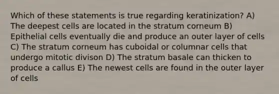 Which of these statements is true regarding keratinization? A) The deepest cells are located in the stratum corneum B) Epithelial cells eventually die and produce an outer layer of cells C) The stratum corneum has cuboidal or columnar cells that undergo mitotic divison D) The stratum basale can thicken to produce a callus E) The newest cells are found in the outer layer of cells