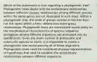 Which of the statements is true regarding a phylogenetic tree? Phylogenetic trees depict only the evolutionary relationships between different classes; relationships among different species within the same genus are not illustrated in such trees. Within a phylogenetic tree, the order of groups located at the tree tips—not the nodes within a tree—determines sister-group relationships. Phylogenetic trees are constructed based solely on the morphological characteristics of species; sequence similarities among different organisms are evaluated only by taxonomists. Given the sheer number of prokaryotic and eukaryotic species on Earth, it is impossible to create a phylogenetic tree encompassing all of these organisms. Phylogenetic trees could be considered physical representations of hypotheses that seek to establish the evolutionary relationships between different organisms.