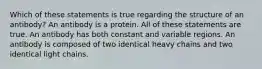 Which of these statements is true regarding the structure of an antibody? An antibody is a protein. All of these statements are true. An antibody has both constant and variable regions. An antibody is composed of two identical heavy chains and two identical light chains.