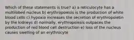 Which of these statements is true? a) a reticulocyte has a multilobed nucleus b) erythropoiesis is the production of white blood cells c) hypoxia increases the secretion of erythropoietin by the kidneys d) normally, erythropoiesis outpaces the production of red blood cell destruction e) loss of the nucleus causes swelling of an erythrocyte