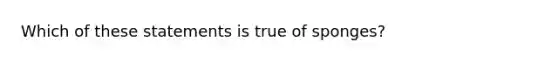 Which of these statements is true of sponges?