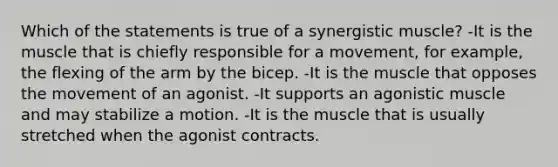 Which of the statements is true of a synergistic muscle? -It is the muscle that is chiefly responsible for a movement, for example, the flexing of the arm by the bicep. -It is the muscle that opposes the movement of an agonist. -It supports an agonistic muscle and may stabilize a motion. -It is the muscle that is usually stretched when the agonist contracts.