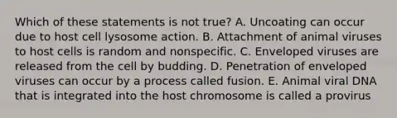 Which of these statements is not true? A. Uncoating can occur due to host cell lysosome action. B. Attachment of animal viruses to host cells is random and nonspecific. C. Enveloped viruses are released from the cell by budding. D. Penetration of enveloped viruses can occur by a process called fusion. E. Animal viral DNA that is integrated into the host chromosome is called a provirus