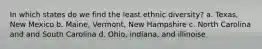 In which states do we find the least ethnic diversity? a. Texas, New Mexico b. Maine, Vermont, New Hampshire c. North Carolina and and South Carolina d. Ohio, indiana, and illinoise