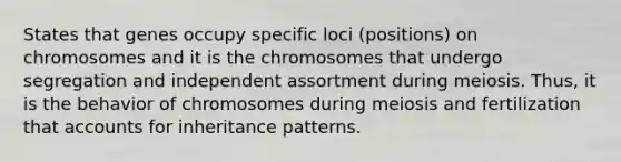 States that genes occupy specific loci (positions) on chromosomes and it is the chromosomes that undergo segregation and independent assortment during meiosis. Thus, it is the behavior of chromosomes during meiosis and fertilization tha<a href='https://www.questionai.com/knowledge/k7x83BRk9p-t-accounts' class='anchor-knowledge'>t accounts</a> for <a href='https://www.questionai.com/knowledge/knmHDuZZrC-inheritance-patterns' class='anchor-knowledge'>inheritance patterns</a>.