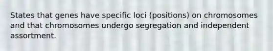 States that genes have specific loci (positions) on chromosomes and that chromosomes undergo segregation and independent assortment.