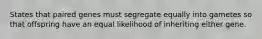 States that paired genes must segregate equally into gametes so that offspring have an equal likelihood of inheriting either gene.