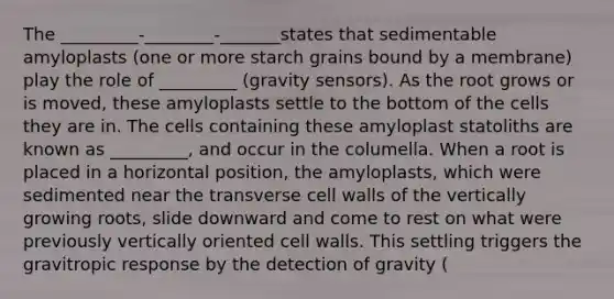 The _________-________-_______states that sedimentable amyloplasts (one or more starch grains bound by a membrane) play the role of _________ (gravity sensors). As the root grows or is moved, these amyloplasts settle to the bottom of the cells they are in. The cells containing these amyloplast statoliths are known as _________, and occur in the columella. When a root is placed in a horizontal position, the amyloplasts, which were sedimented near the transverse cell walls of the vertically growing roots, slide downward and come to rest on what were previously vertically oriented cell walls. This settling triggers the gravitropic response by the detection of gravity (