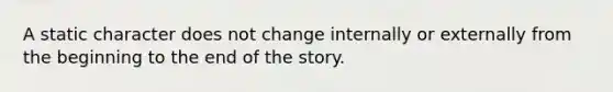 A static character does not change internally or externally from the beginning to the end of the story.