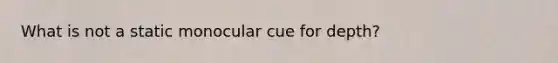 What is not a static monocular cue for depth?
