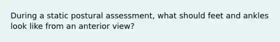 During a static postural assessment, what should feet and ankles look like from an anterior view?