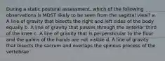 During a static postural assessment, which of the following observations is MOST likely to be seen from the sagittal view? a. A line of gravity that bisects the right and left sides of the body equally b. A line of gravity that passes through the anterior third of the knee c. A line of gravity that is perpendicular to the floor and the palms of the hands are not visible d. A line of gravity that bisects the sacrum and overlaps the spinous process of the vertebrae