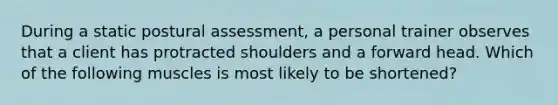 During a static postural assessment, a personal trainer observes that a client has protracted shoulders and a forward head. Which of the following muscles is most likely to be shortened?