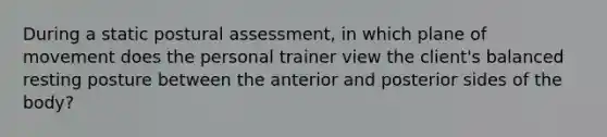 During a static postural assessment, in which plane of movement does the personal trainer view the client's balanced resting posture between the anterior and posterior sides of the body?