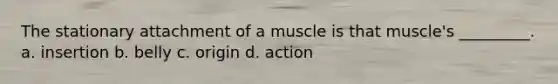 The stationary attachment of a muscle is that muscle's _________. a. insertion b. belly c. origin d. action