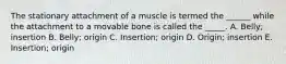 The stationary attachment of a muscle is termed the ______ while the attachment to a movable bone is called the _____. A. Belly; insertion B. Belly; origin C. Insertion; origin D. Origin; insertion E. Insertion; origin