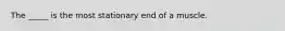 The _____ is the most stationary end of a muscle.