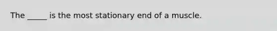 The _____ is the most stationary end of a muscle.