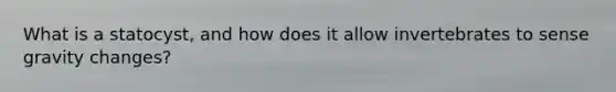 What is a statocyst, and how does it allow invertebrates to sense gravity changes?